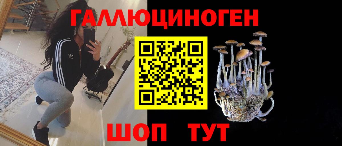 Псилоцибиновые грибы Psilocybe  Вход с VPN  Бирск  Галлюциногенные грибы MAGIC MUSHROOMS 